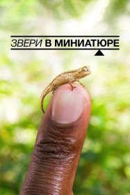 Звери в миниатюре